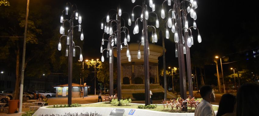 Memorial Árvore de Lágrimas foi criado para homenagear as vítimas do Covid-19