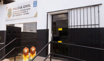 Mulher é presa por usar cães para forçar pessoas a dar esmolas em 2 maio, 2025 14:00