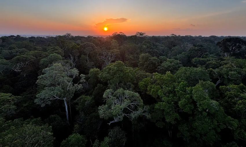 Começou hoje em Brasília a 5ª Conferência Nacional do Meio Ambiente