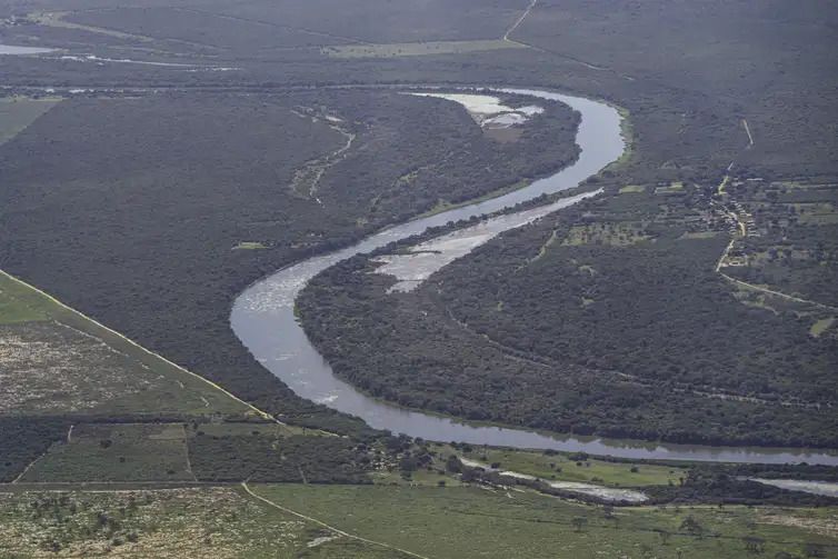 Destruição de florestas tropicais bate recorde em 2024 com grave deterioração no Brasil