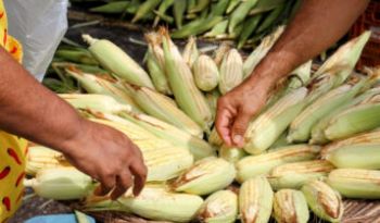 Feira Junina da Ceasa Aracaju começa na próxima terça-feira, 3