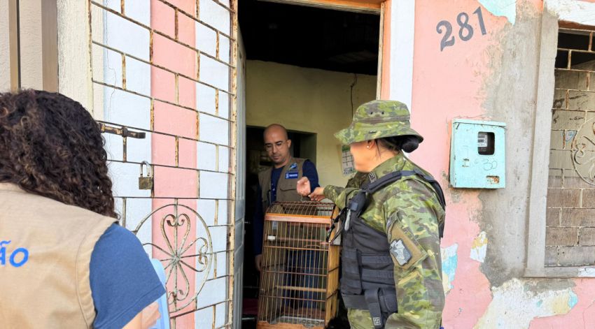 Operação apreende aves silvestres criadas irregularmente na capital