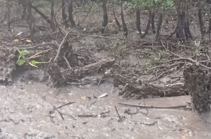 Mortandade de peixes é registrada em rio de Estância
