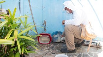 Nove municípios com alto índice de infestação do Aedes aegypti em Sergipe