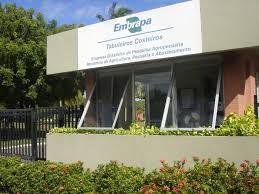 Embrapa Sergipe ficou em primeiro lugar na Região Nordeste
