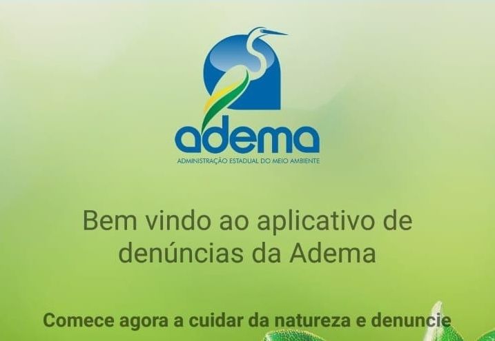 Governo lançará aplicativo de denúncia de crimes ambientais