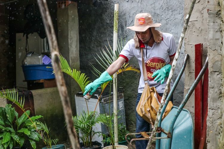 Governo divulga calendário da Brigada Itinerante de Combate à Dengue desta semana