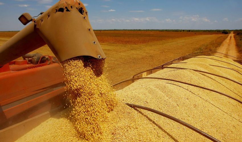 Soja brasileira gera tensão em guerra comercial entre EUA e China