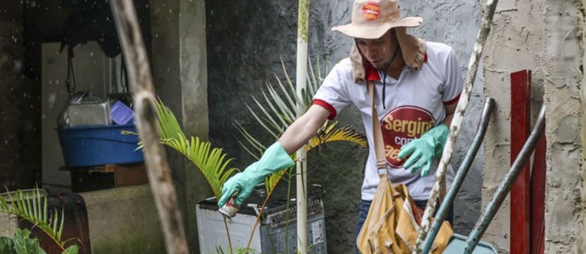 Secretaria de Estado da Saúde divulga novo informe sobre a dengue