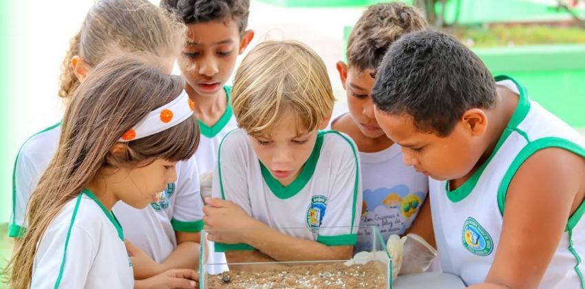 Projeto escolar estimula a produção de alimentos entre estudantes de Poço Verde
