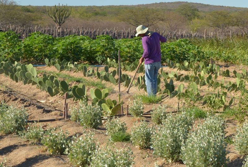 Gasto médio mensal das famílias é 45,3% menor na área rural