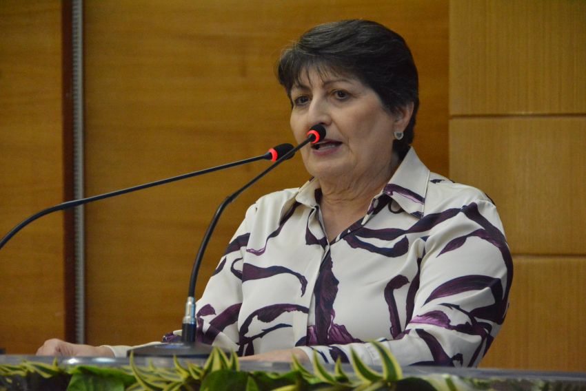 PL que institui política pública de estímulo ao empreendedorismo feminino segue para sanção