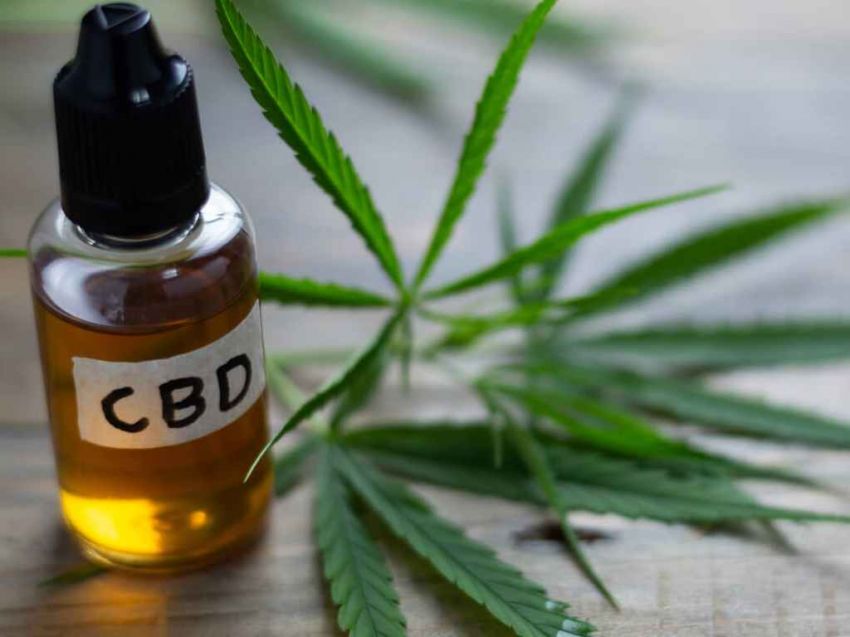 Anvisa autoriza venda de medicamentos à base do princípio ativo da maconha