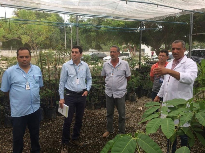 Deso e SergipeTec vão desenvolver mudas para recuperação de nascentes e matas ciliares