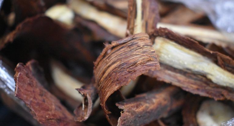 Pé diabético: pesquisa desenvolve medicamento que trata feridas de difícil cicatrização