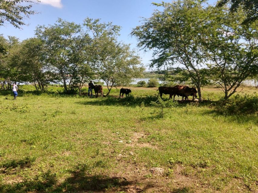 Coronavírus: Emdagro define medidas preventivas e suspende atendimento a agricultores