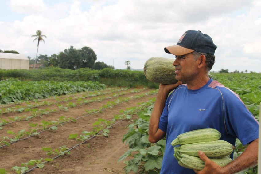 Emdagro informa prorrogação de prazo de validade das DAPs ativas pelo Ministério da Agricultura