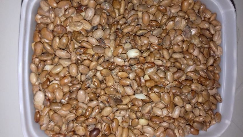 Prefeitura de Lagarto entrega alimentos estragados em cestas básicas