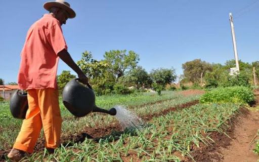 João Daniel repudia vetos à Lei da Agricultura Familiar aprovado na Câmara e no Senado