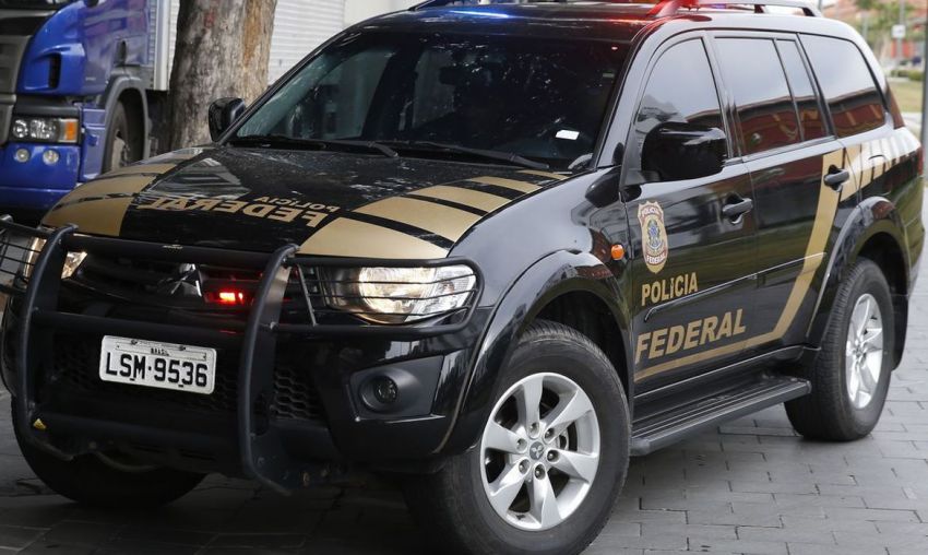 PF faz operação contra contrabando de marfim em São Paulo