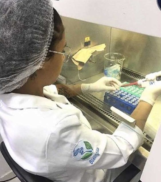 Governo apoia desenvolvimento de tecnologia para fabricação de plástico biodegradável