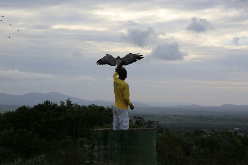Governo sanciona lei que torna Parque dos Falcões patrimônio cultural de Sergipe