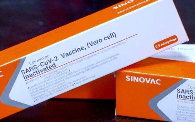 Comitê internacional pede que Anvisa retome testes da Coronavac