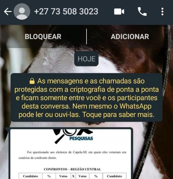 Clara Sukita é multada por disparos em massa de pesquisa não registrada