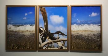 Exposição 'Natureza Manifesta' é um convite ao sentir
