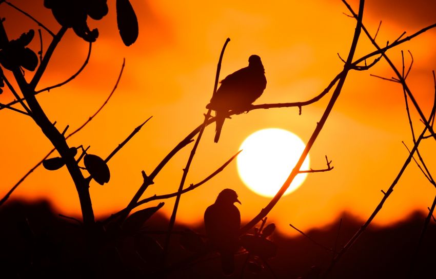 Fotógrafo Arthur Leite apresenta 'Paisagens Sergipanas' no RioMar