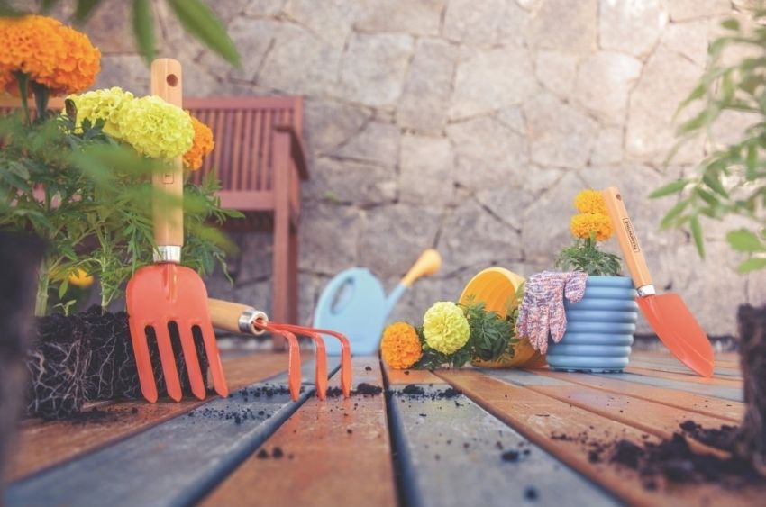 De hobby à terapia, cresce o interesse por jardinagem no lar
