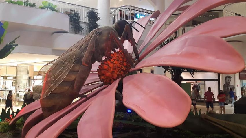 Últimos dia da exposição Natureza Gigante no RioMar Aracaju