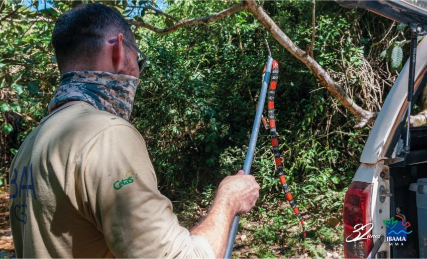 Ibama celebra 32 anos de histórias e lutas em benefício do meio ambiente