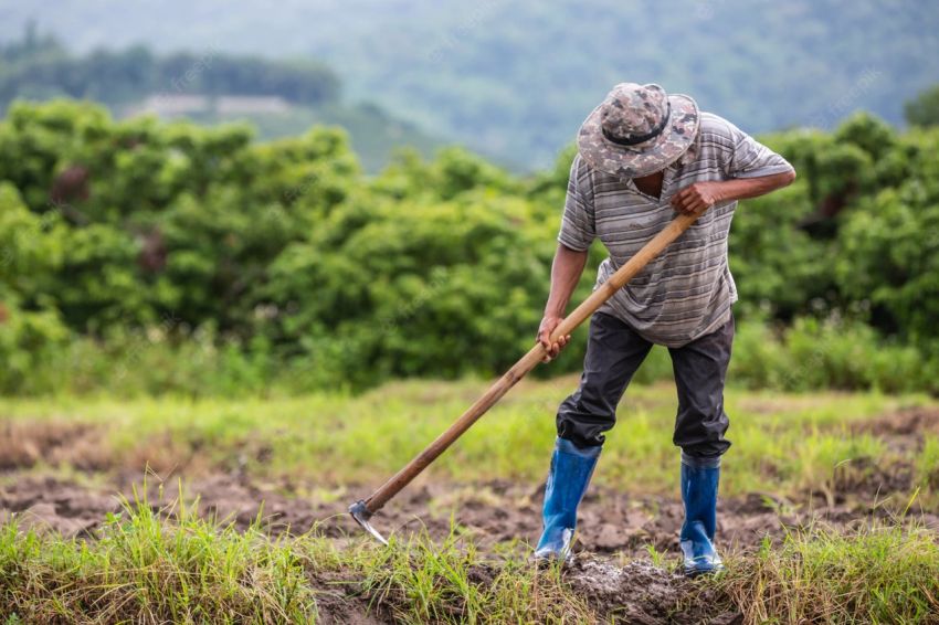 Evento reúne praticantes de agricultura familiar e simpatizantes em torno dos cenários da produção de alimentos