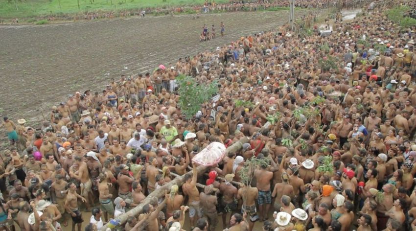 São Pedro de Capela encerra ciclo junino sergipano com quatro dias de festa