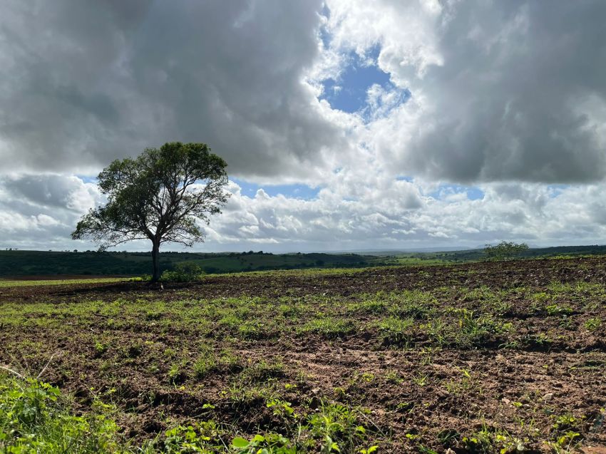 Faese apela para que Governo de Sergipe intensifique ações de combate à invasão de propriedades