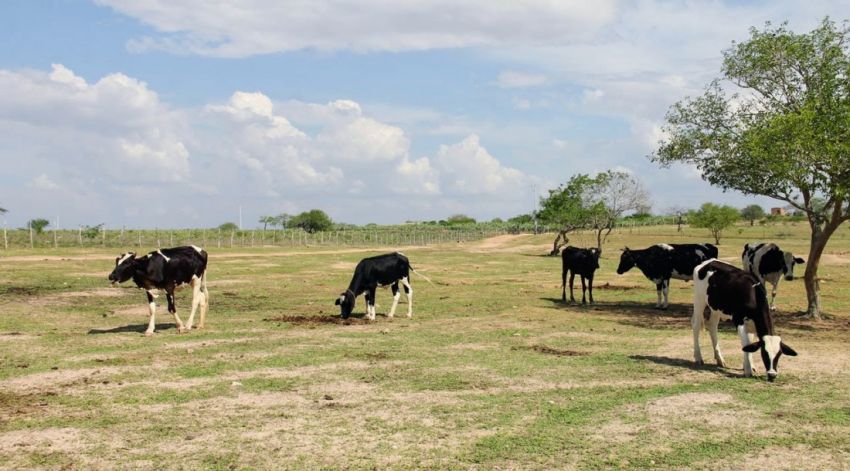 Governo de Sergipe publica edital para projeto da Adutora do Leite