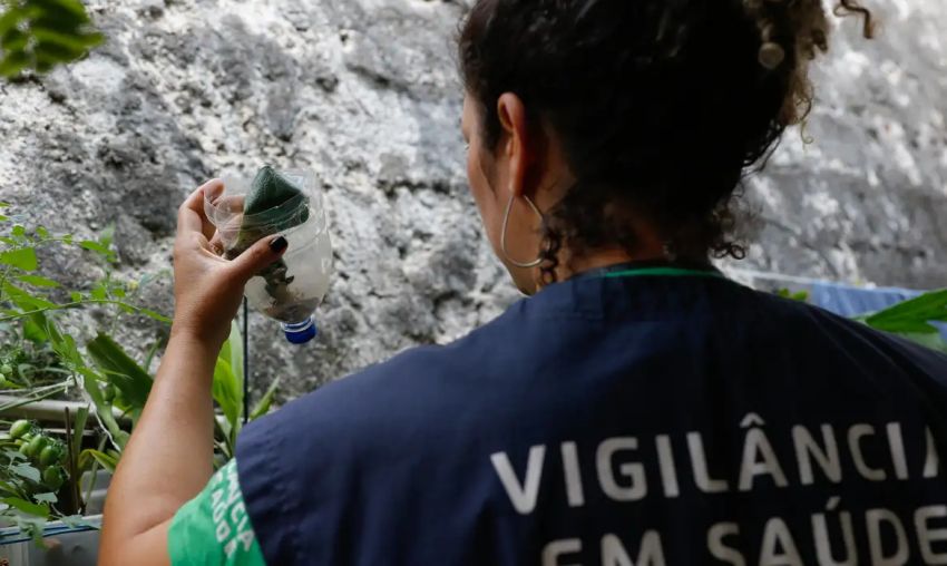 Brasil se aproxima de 6 milhões de casos e 4 mil mortes por dengue