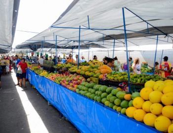 Eleições 2024: primeiro turno altera funcionamento de serviços em Sergipe