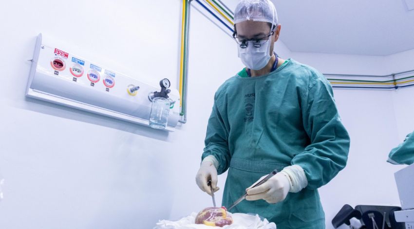 Sergipe registra aumento de 61% no registro de doadores de órgãos em 2024