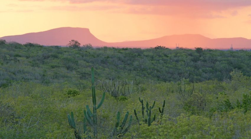 Sergipe tem novo aviso de baixa umidade relativa do ar válido até domingo, 15