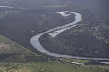 Destruição de florestas tropicais bate recorde em 2024 com grave deterioração no Brasil