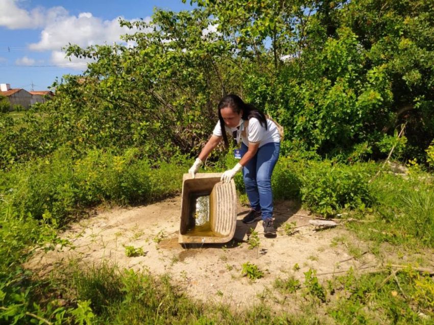 Seis municípios de Sergipe registram alto risco de infestação pelo Aedes aegypti