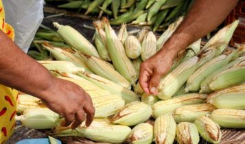 Feira Junina da Ceasa Aracaju começa na próxima terça-feira, 3