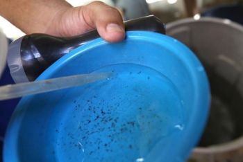 Bairros de Aracaju deixam zona de alto risco do Aedes aegypti