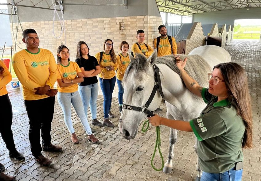 Senar SE abre credenciamento para instrutores, tutores e consultores
