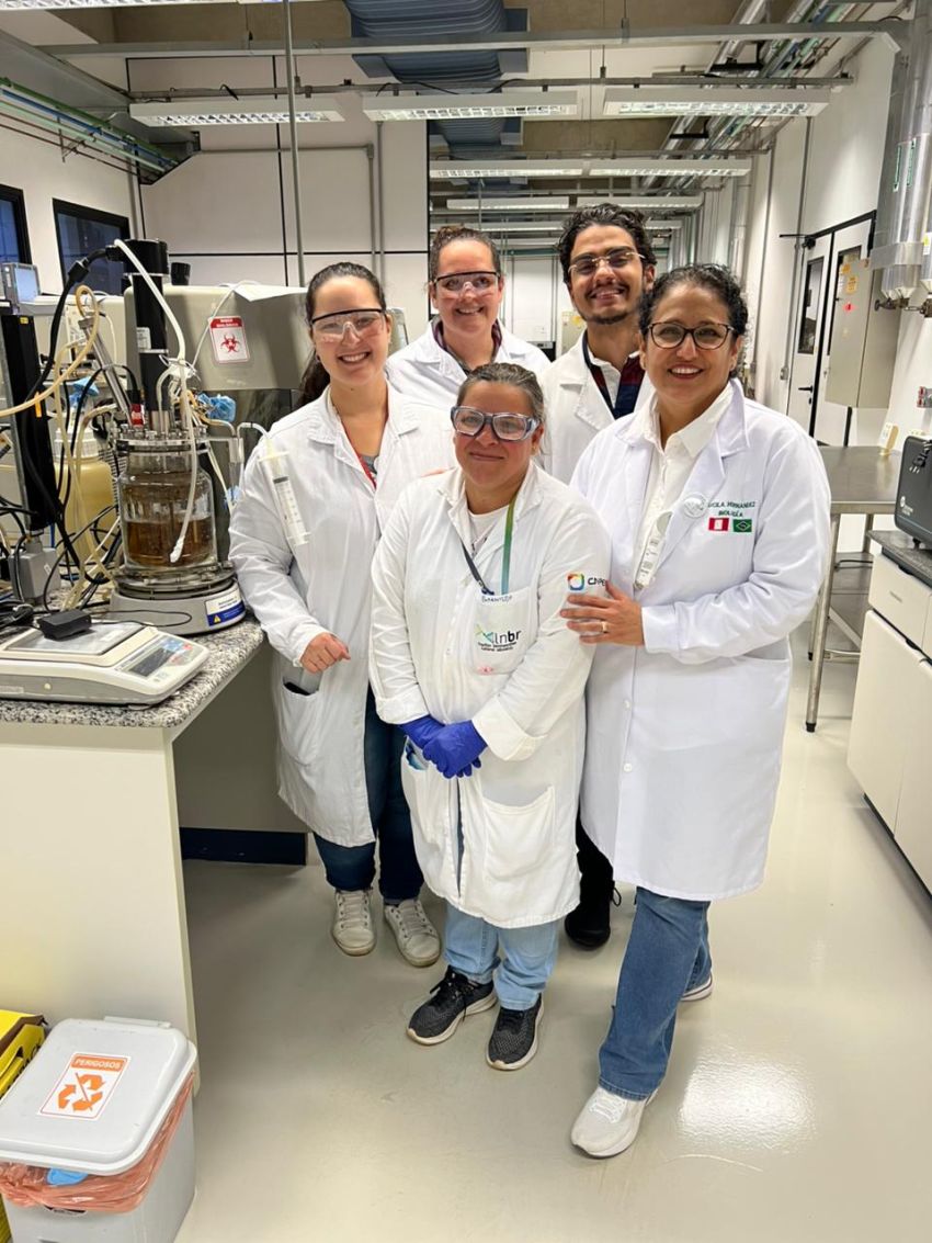 Bagaço de cana e lodo marinho podem ser usados na produção de enzimas industriais