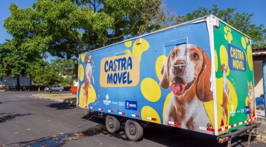 Secretaria reforça vacinação animal e prevenção de zoonoses