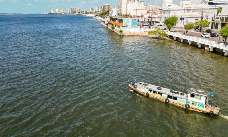 Expedição de tototó marca Dia Mundial de Proteção aos Manguezais