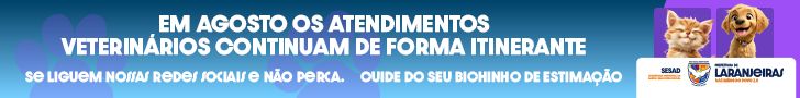 Publicidade